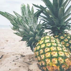 Meet your Posher, Macy